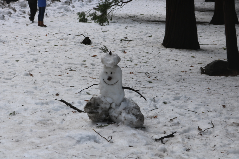 Illustration for article titled Oppo quiz: What is mysterious about this snowman?